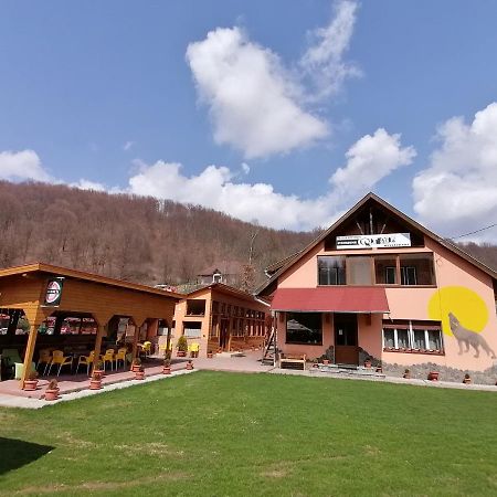 Pensiunea Colt Alb Băile Homorod Exteriör bild