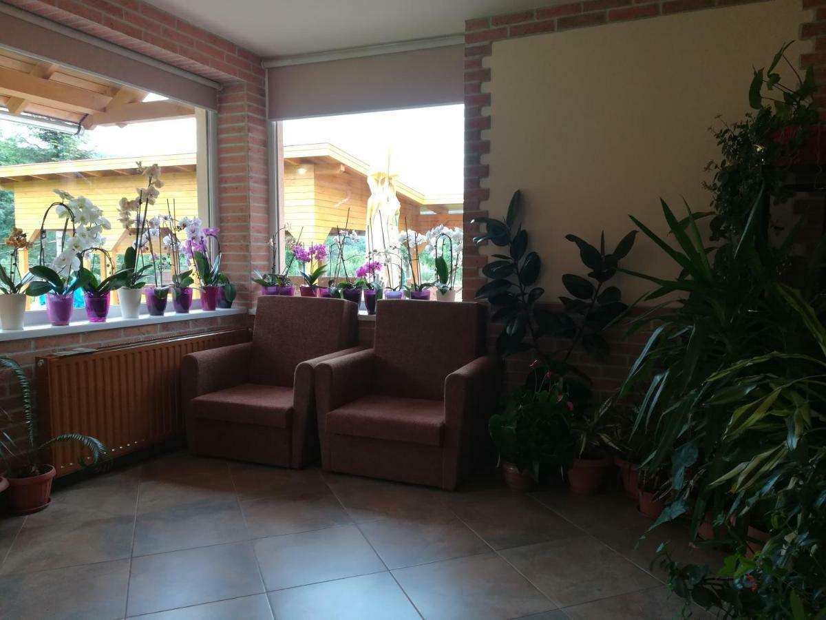 Pensiunea Colt Alb Băile Homorod Exteriör bild